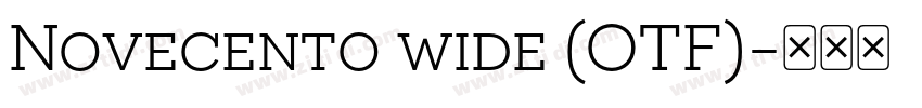 Novecento wide (OTF)字体转换